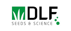 DLF